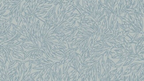 Salix Alba 7788